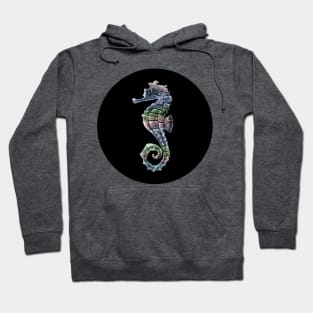 Pastel Seahorse on Black Hoodie